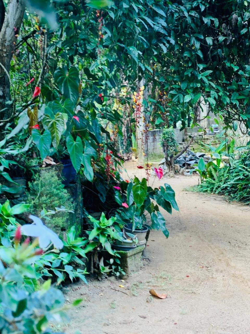 Little Cottage Ella Luaran gambar