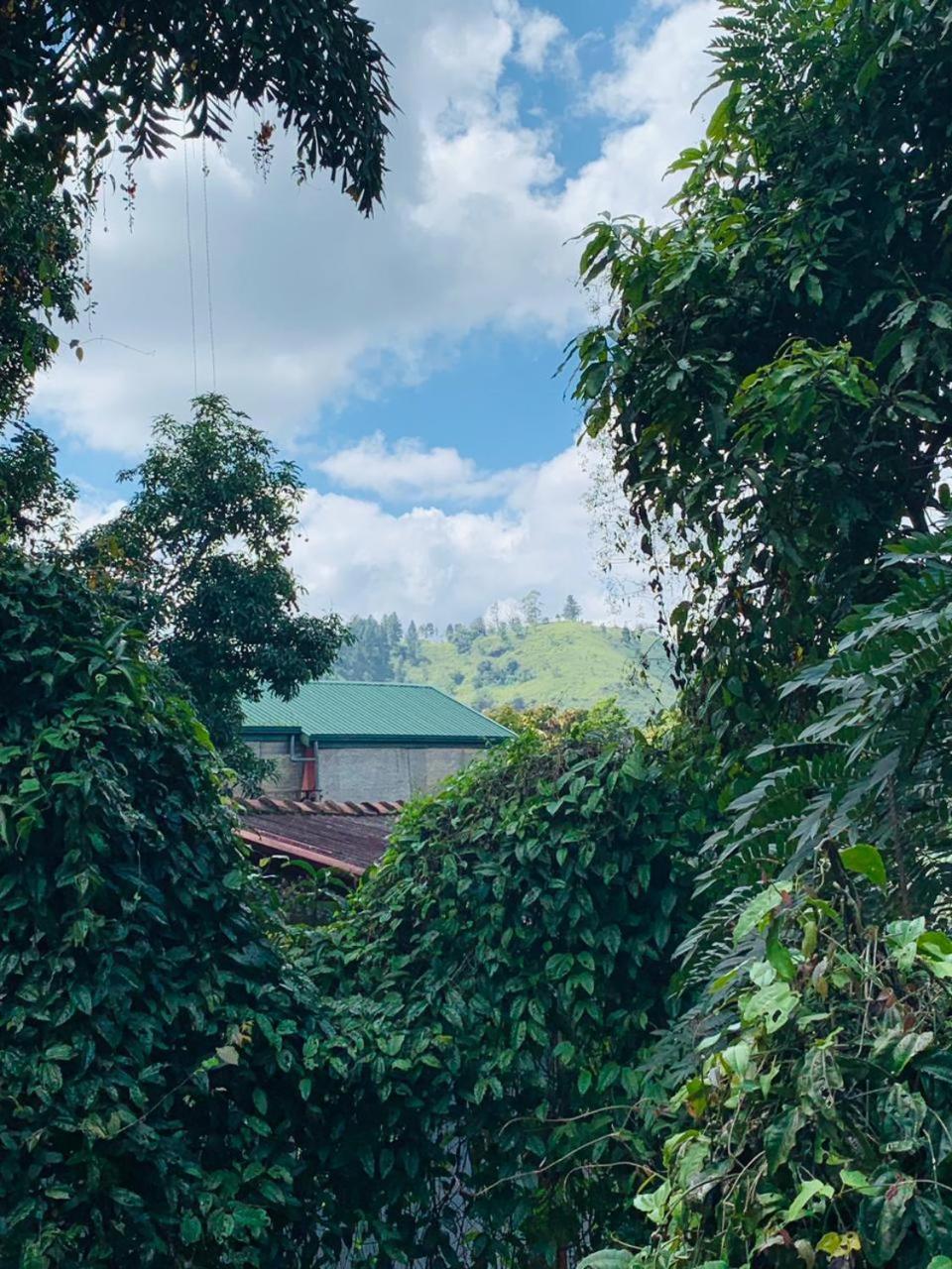 Little Cottage Ella Luaran gambar