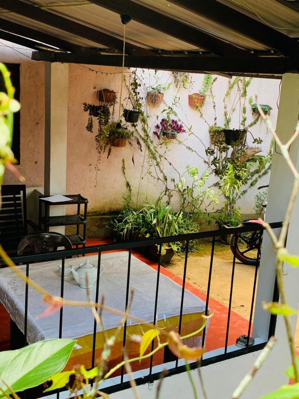 Little Cottage Ella Luaran gambar